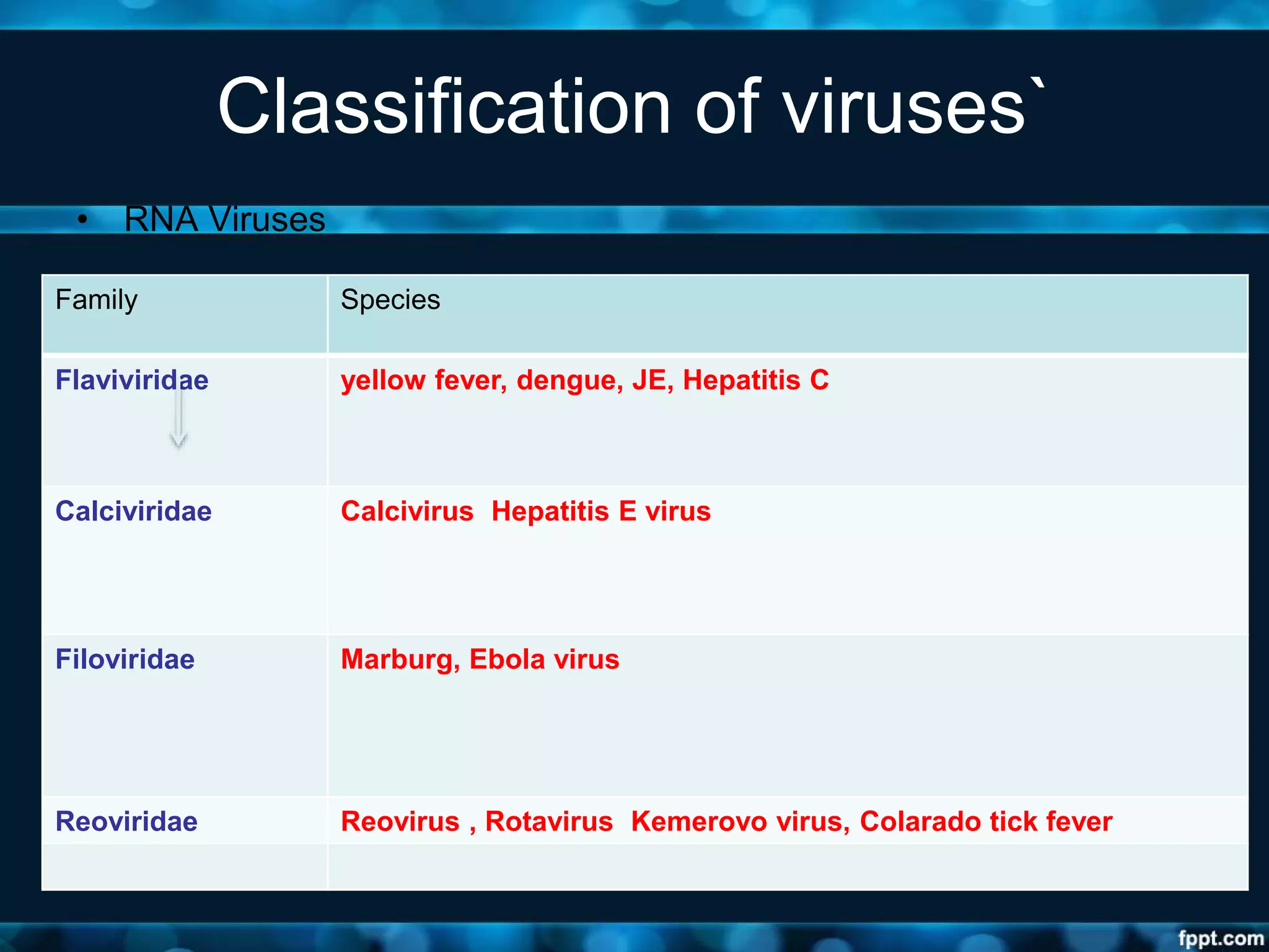 Classification of viruses`
• RNA Viruses
Family Species
Flaviviridae yellow fever, dengue, JE, Hepatitis C
Calciviridae Calcivirus Hepatitis E virus
Filoviridae Marburg, Ebola virus
Reoviridae Reovirus , Rotavirus Kemerovo virus, Colarado tick fever
 
