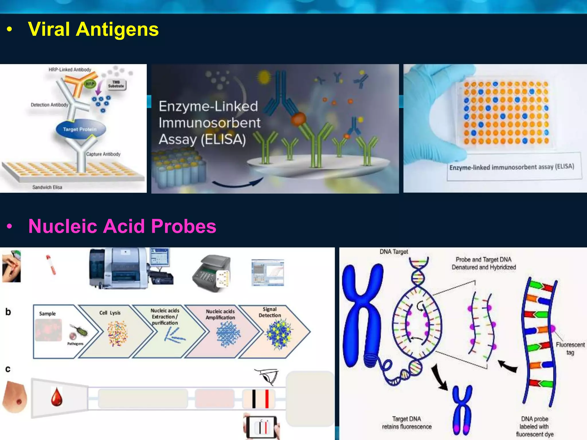 • Viral Antigens
• Nucleic Acid Probes
 