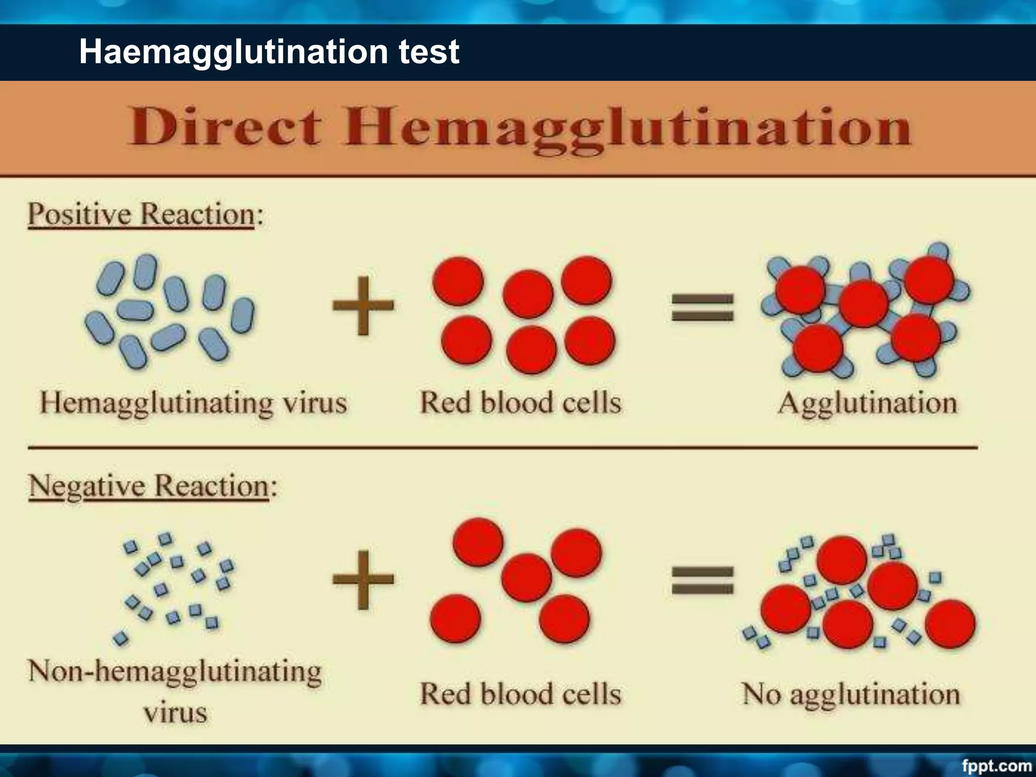 Haemagglutination test
 
