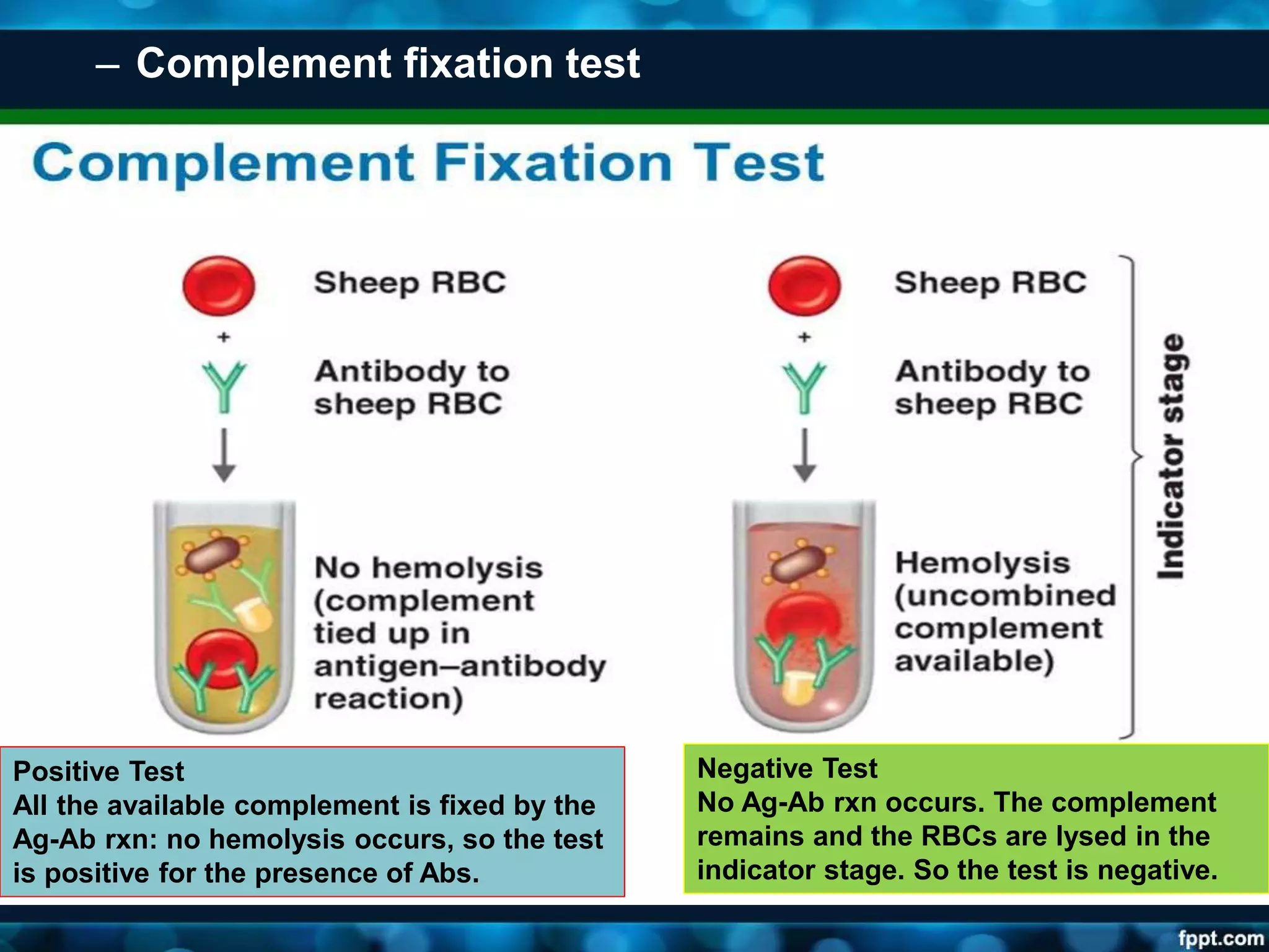 – Complement fixation test
Positive Test
All the available complement is fixed by the
Ag-Ab rxn: no hemolysis occurs, so the test
is positive for the presence of Abs.
Negative Test
No Ag-Ab rxn occurs. The complement
remains and the RBCs are lysed in the
indicator stage. So the test is negative.
 