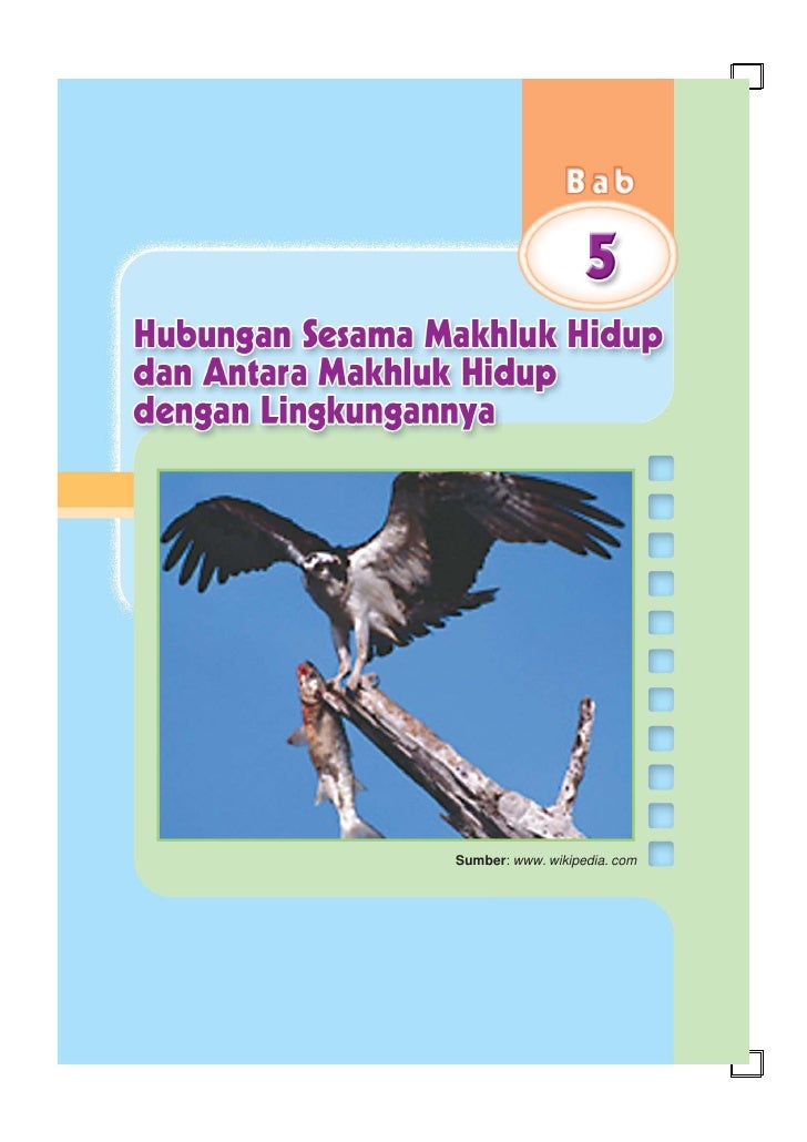 SDMI kelas04 ipa heri edy