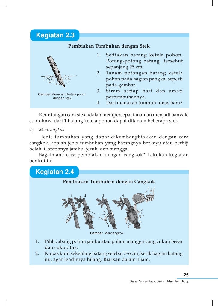 Sdmi Kelas04 Ipa Yayat Sri Lilis
