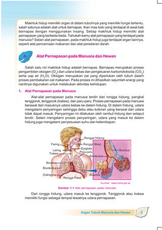 SD-MI kelas05 ipa heri edy