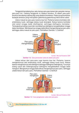 SD-MI kelas05 ipa heri edy