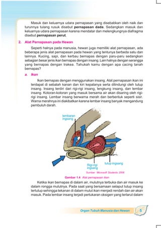 SD-MI kelas05 ipa heri edy