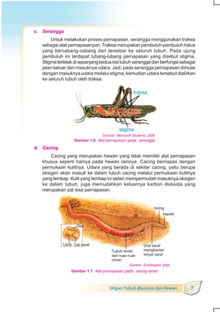 SD-MI kelas05 ipa heri edy