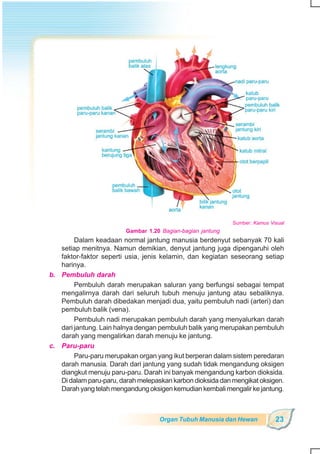 SD-MI kelas05 ipa heri edy