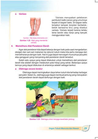 SD-MI kelas05 ipa heri edy