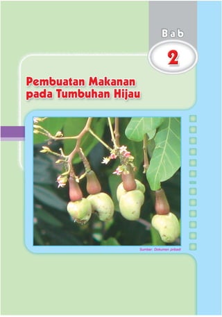 SD-MI kelas05 ipa heri edy