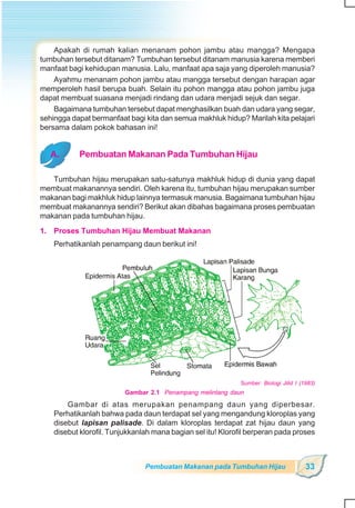 SD-MI kelas05 ipa heri edy