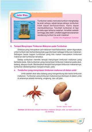 SD-MI kelas05 ipa heri edy