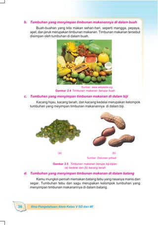 SD-MI kelas05 ipa heri edy