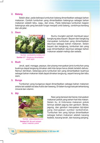 SD-MI kelas05 ipa heri edy