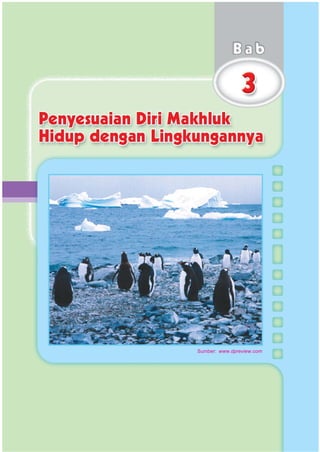 SD-MI kelas05 ipa heri edy