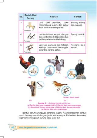 SD-MI kelas05 ipa heri edy