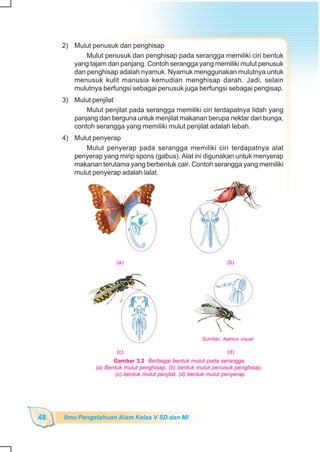 SD-MI kelas05 ipa heri edy