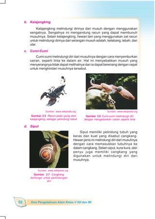 SD-MI kelas05 ipa heri edy