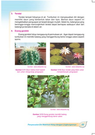 SD-MI kelas05 ipa heri edy