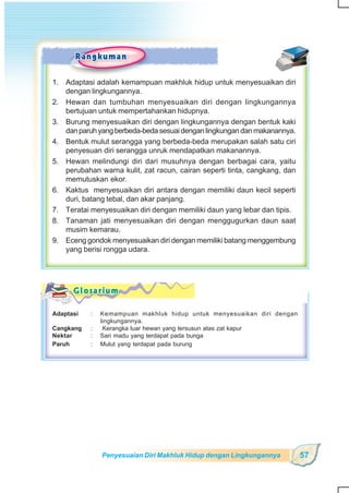 SD-MI kelas05 ipa heri edy