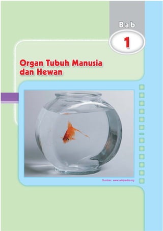 SD-MI kelas05 ipa heri edy