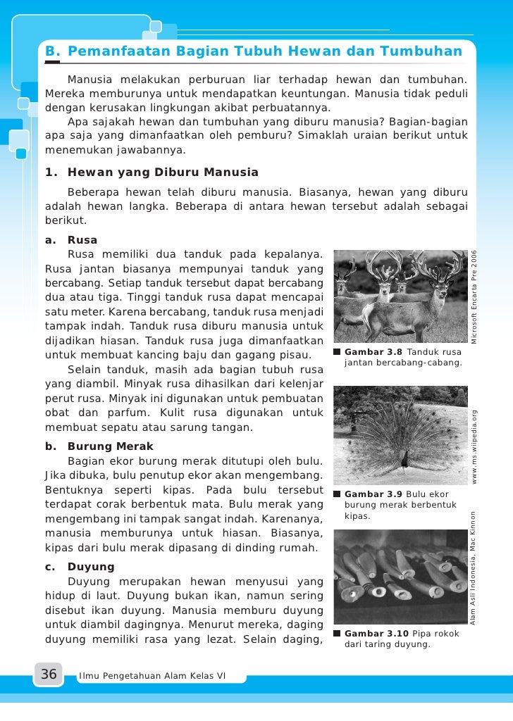 SDMI kelas04 ipa dwi isnaini yulinda