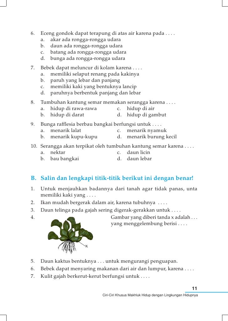 Sd Mi Kelas04 Ipa Yayat Sri Lilis