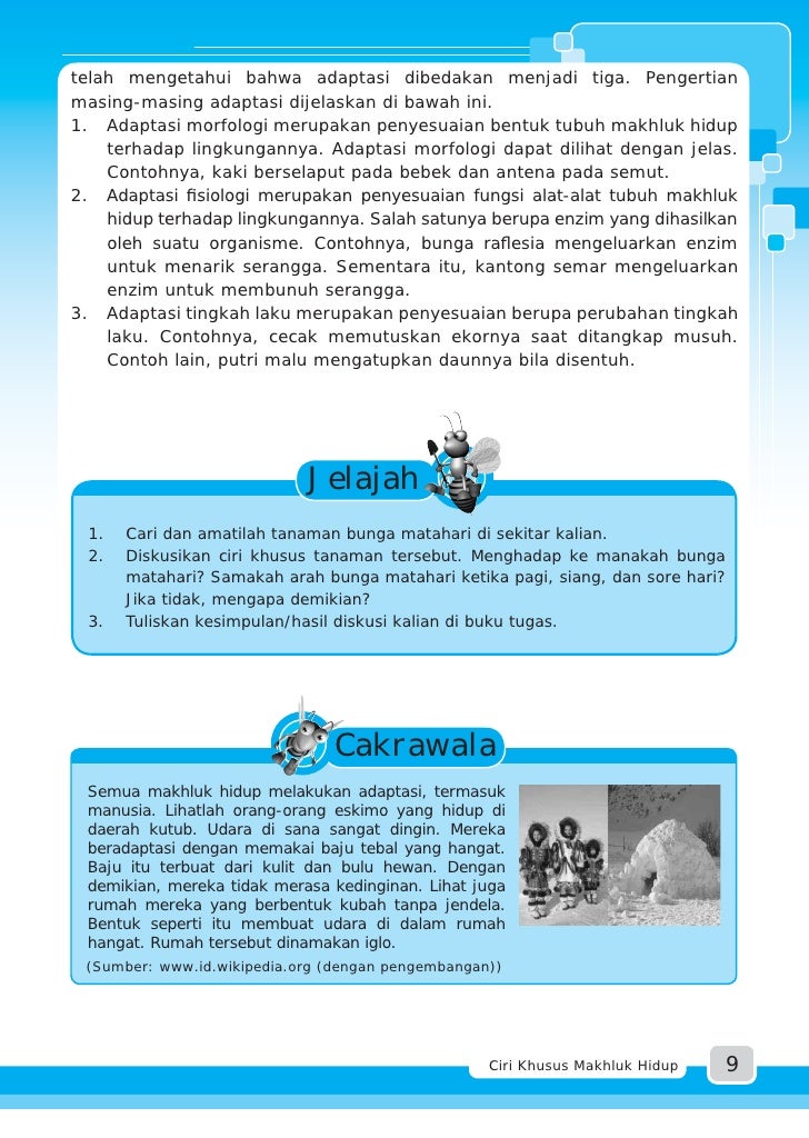 61 Koleksi Kursi Sofa Termasuk Konduktor Atau Isolator HD
