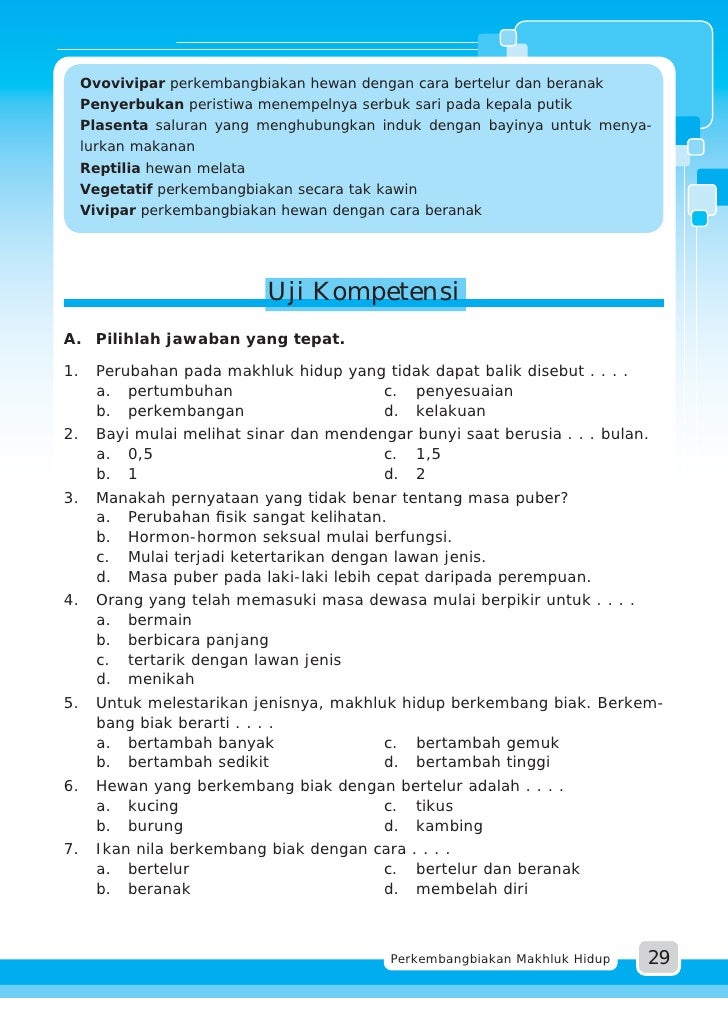 61 Koleksi Kursi Sofa Termasuk Konduktor Atau Isolator HD