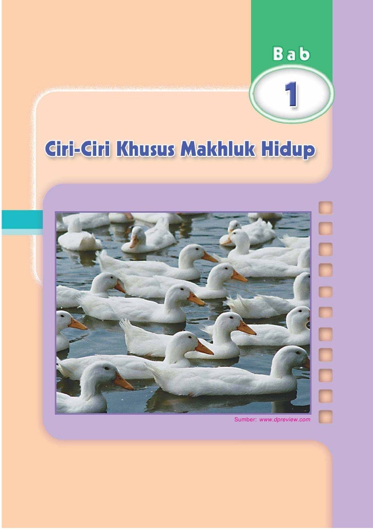 SD-MI kelas06 ipa heri edy