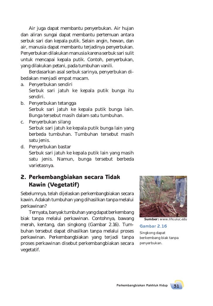 Sd Mi Kelas06 Senang Belajar Ipa Siti
