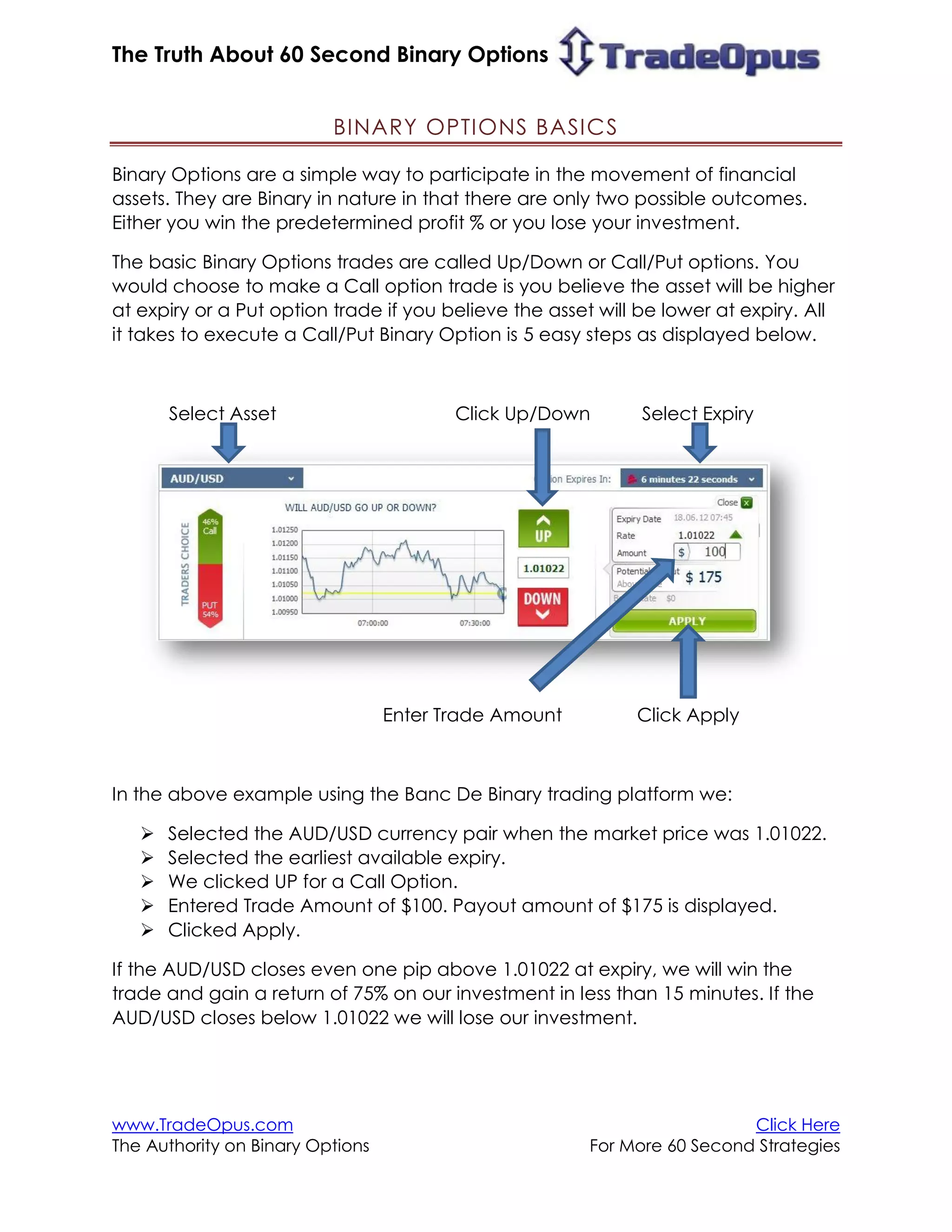 60 Second Binary Options Strategy: the complete guide | PDF