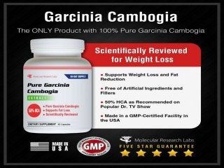 Garcinia Cambogia Extract | Garcinia
           Cambogia HCA
 