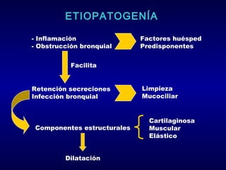 ETIOPATOGENÍA
- Inflamación
- Obstrucción bronquial

Factores huésped
Predisponentes

Facilita
Retención secreciones
Infección bronquial

Componentes estructurales

Dilatación

Limpieza
Mucociliar
Cartilaginosa
Muscular
Elástico

 
