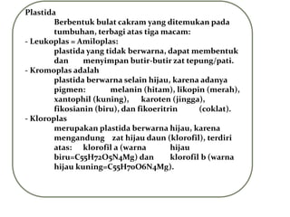 Plastida
Berbentuk bulat cakram yang ditemukan pada
tumbuhan, terbagi atas tiga macam:
- Leukoplas = Amiloplas:
plastida yang tidak berwarna, dapat membentuk
dan menyimpan butir-butir zat tepung/pati.
- Kromoplas adalah
plastida berwarna selain hijau, karena adanya
pigmen: melanin (hitam), likopin (merah),
xantophil (kuning), karoten (jingga),
fikosianin (biru), dan fikoeritrin (coklat).
- Kloroplas
merupakan plastida berwarna hijau, karena
mengandung zat hijau daun (klorofil), terdiri
atas: klorofil a (warna hijau
biru=C55H72O5N4Mg) dan klorofil b (warna
hijau kuning=C55H70O6N4Mg).
 