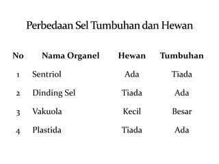 No Nama Organel Hewan Tumbuhan
1 Sentriol Ada Tiada
2 Dinding Sel Tiada Ada
3 Vakuola Kecil Besar
4 Plastida Tiada Ada
 