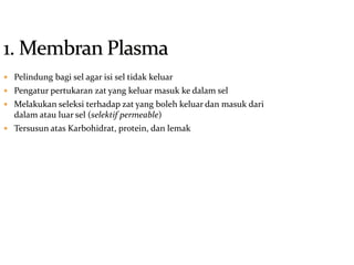  Pelindung bagi sel agar isi sel tidak keluar
 Pengatur pertukaran zat yang keluar masuk ke dalam sel
 Melakukan seleksi terhadap zat yang boleh keluar dan masuk dari
dalam atau luar sel (selektif permeable)
 Tersusun atas Karbohidrat, protein, dan lemak
 