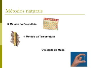 Métodos naturais
Método do Calendário

Método da Temperatura

Método do Muco

 
