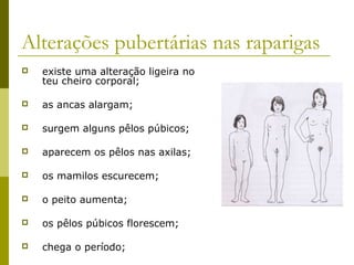 Alterações pubertárias nas raparigas


existe uma alteração ligeira no
teu cheiro corporal;



as ancas alargam;



surgem alguns pêlos púbicos;



aparecem os pêlos nas axilas;



os mamilos escurecem;



o peito aumenta;



os pêlos púbicos florescem;



chega o período;

 