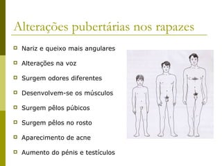 Alterações pubertárias nos rapazes


Nariz e queixo mais angulares



Alterações na voz



Surgem odores diferentes



Desenvolvem-se os músculos



Surgem pêlos púbicos



Surgem pêlos no rosto



Aparecimento de acne



Aumento do pénis e testículos

 