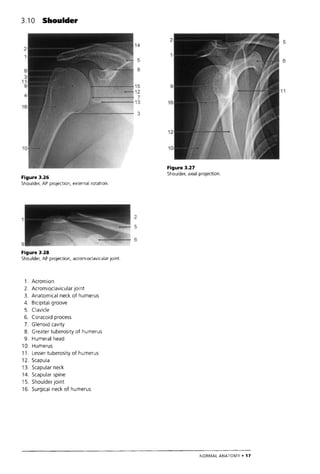 The Who Manual Of Diagnostic Imaging Radiographic Anatomy And ...