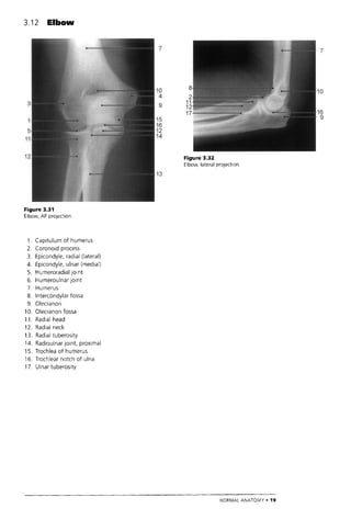 The Who Manual Of Diagnostic Imaging Radiographic Anatomy And ...