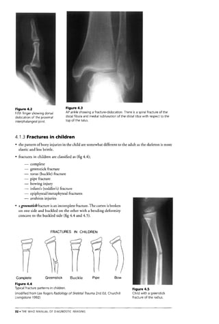 The Who Manual Of Diagnostic Imaging Radiographic Anatomy And ...