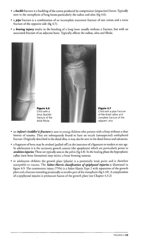 The Who Manual Of Diagnostic Imaging Radiographic Anatomy And ...