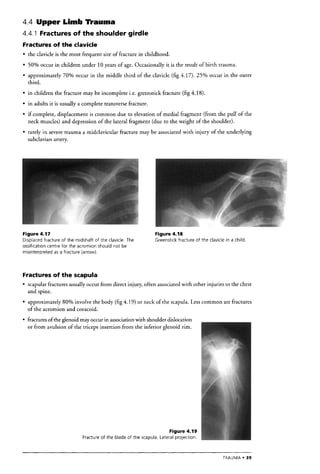 The Who Manual Of Diagnostic Imaging Radiographic Anatomy And ...