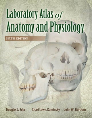 Laboratory Atlas Of Anatomy And Physiology 6th Eder Kaminsky | PDF