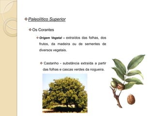 Paleolítico Superior

   Os Corantes

       Origem Vegetal – extraídos das folhas, dos

       frutos, da madeira ou de sementes de
       diversos vegetais.


         Castanho - substância extraída a partir
          das folhas e cascas verdes da nogueira.
 