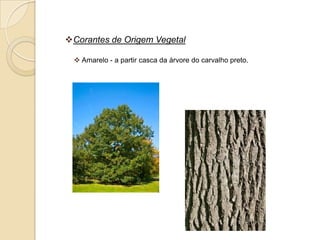 Corantes de Origem Vegetal

  Amarelo - a partir casca da árvore do carvalho preto.
 