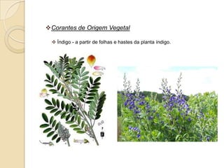 Corantes de Origem Vegetal

  Índigo - a partir de folhas e hastes da planta índigo.
 