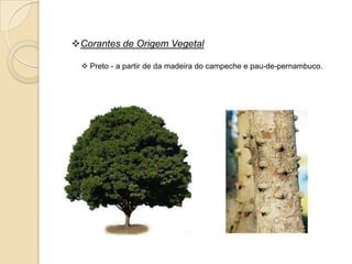 Corantes de Origem Vegetal

  Preto - a partir de da madeira do campeche e pau-de-pernambuco.
 