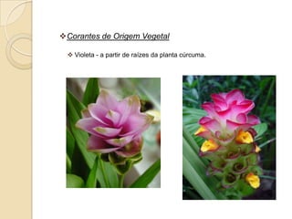 Corantes de Origem Vegetal

  Violeta - a partir de raízes da planta cúrcuma.
 